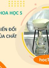 Tìm hiểu sự biến đổi trạng thái của chất - Khoa học 5  -  Hoc10